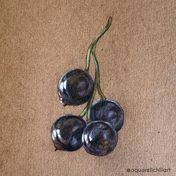 Currants
