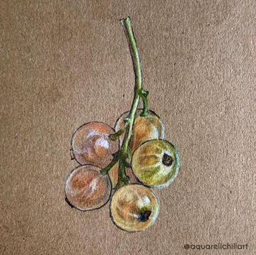 Currants Currants