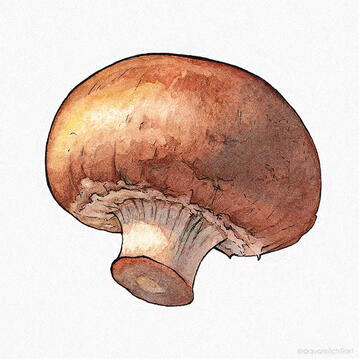 Cremini mushroom Cremini mushroom